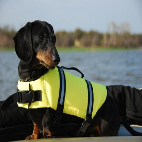 Life Jacket for Doxie